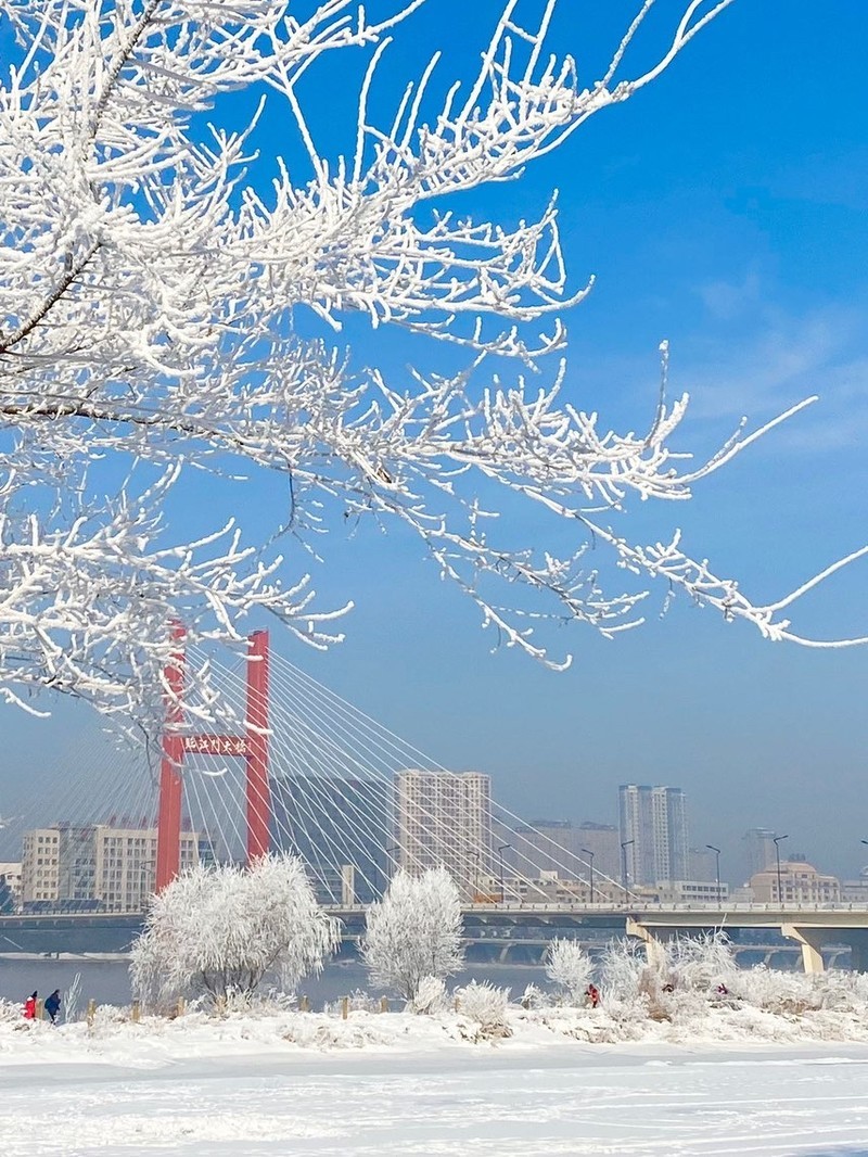 吉林发展的双刃剑效应,个人观察与观点分析