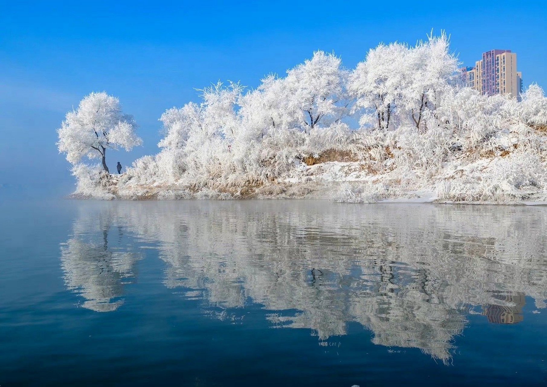 吉林发展的双刃剑效应,个人观察与观点分析