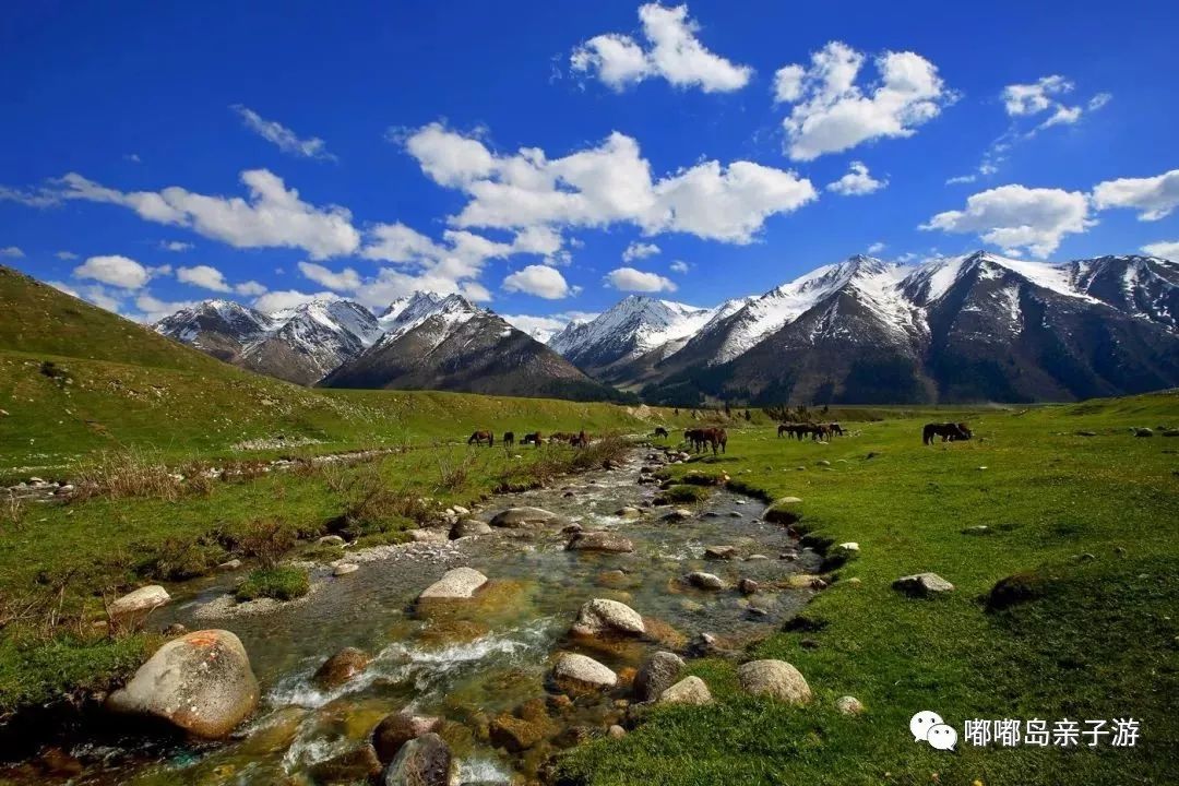 新疆阳光下的友谊与温馨故事